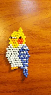 beads a parrot!