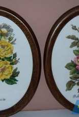 Roses II