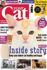 Your Cat-May 2018