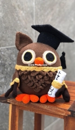 graduation Owl