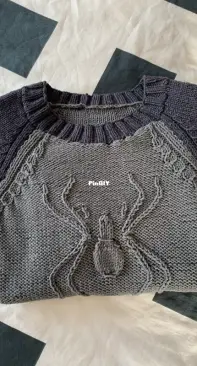Spider Sweater