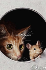 EstE 332 - Cat and mouse XSD