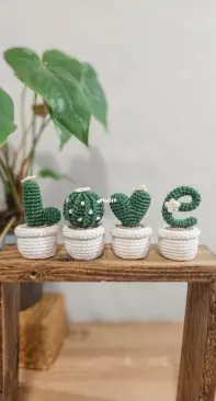 Rachel Crochê - Rachel Werneck - Cactus Love - Cactos Love - Portuguese