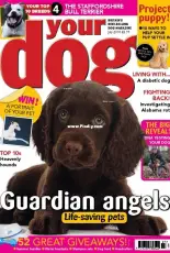 Your Dog - July 2018