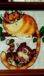 Cats