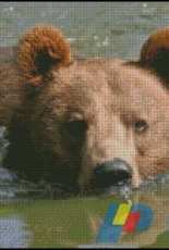 Shinysun's Cross Stitching - Brown Bear Swimming