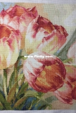 Alisa. Tulips