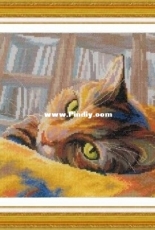 RTO M270 Book Loving Cat XSD