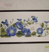My DOME Pharbitis is framed now!!!