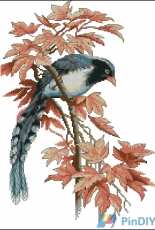 Luca-S B293 - Birdie