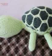 Sheldon the turtle