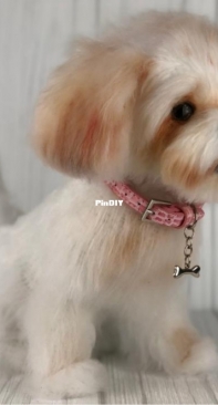 Amber Craft Store - Tatjana Ozolina - Shih Tzu dog