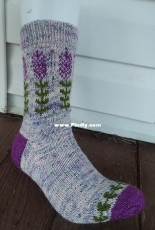 Blooming Lavender socks