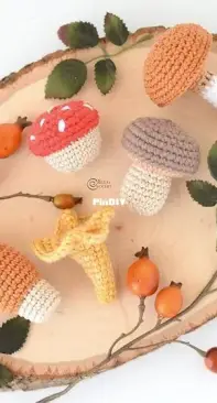 Elisas Crochet - Elisa Sartori - Mushrooms set - Free