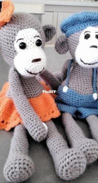 Monkey couple