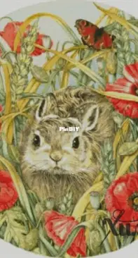 Chimera - Bunny in Poppies