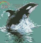 Orca from Cross My Heart CSB-95 Ocean Animals