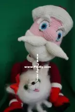 Santa and cat