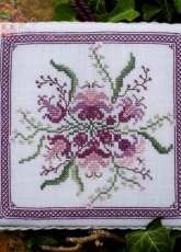 Renato Parolin - Iris