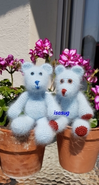 soft and fluffy bears