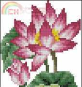 Stitch Korea 2007-04 Lotus duo