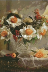 Junona 1001 - Evening Still Life