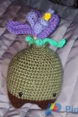 Carla the Crocus Bulb