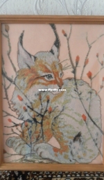 Lynx