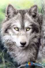 HAED HAEKAH 136 Forest Watch by Kayomi Harai