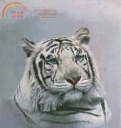 Mystic Stitch White Tiger MM-19 Blue Sapphire