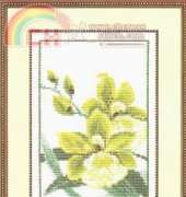 Riolis 755 Orchids XSD