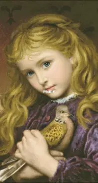 EstE 174 Turtle Dove XSD