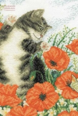 DMC BK130 Poppy cat