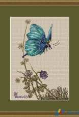 Butterfly by Natalia Yakutovich