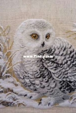 Riolis 1241 White owl