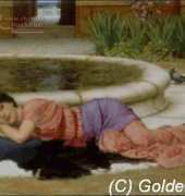 Golden Kite GK 565 A Cool Retreat