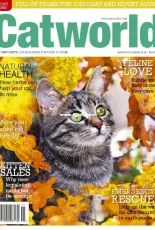 Cat World - November 2018
