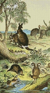 Artecy Cross Stitch - Australia From the Instructive Picture Book 1867