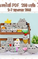 Yui crochet doll - pusheen the cat