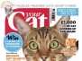 Your Cat-November-2014