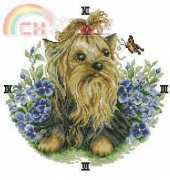 STC Clocks Dogs