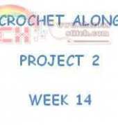 CROCHET ALONG - PROJECT 2 - WEEK 14