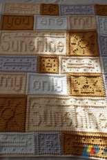 Color and Shape Design - Jody Pyott - Sunshine Crocheted Blanket