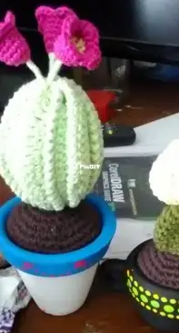 Amigurumis Cactus