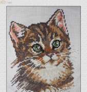 Alisa - 1-04 - Kitten