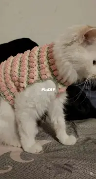 Cat Sweater