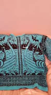dragon sweater