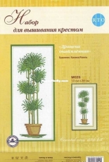 RTO M025 Dracaena bordered