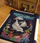 DIM Dolphin