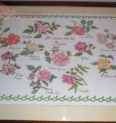 The Name of the Rose